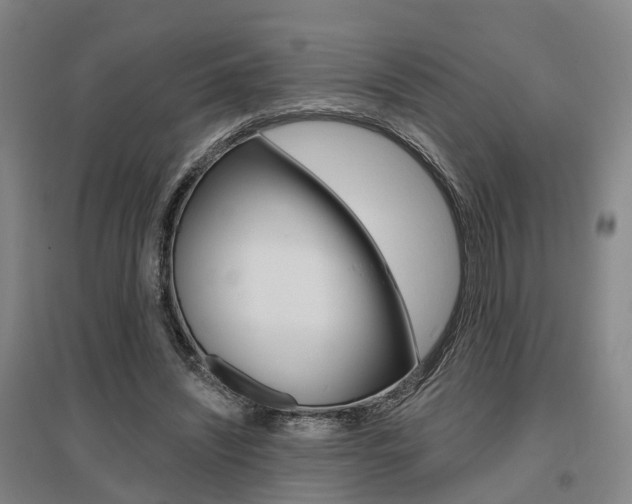 X0000095880444200801110808