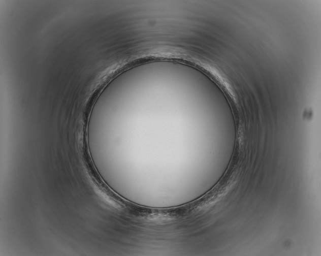 X0000095880445200801110808