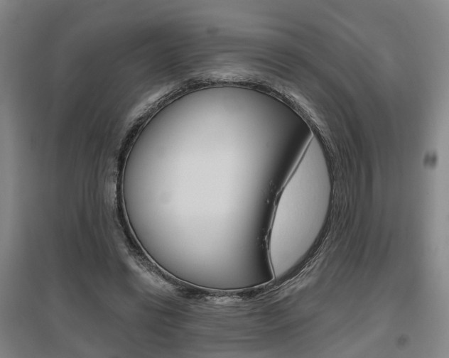 X0000095880446200801110808