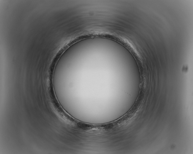 X0000095880447200801110808