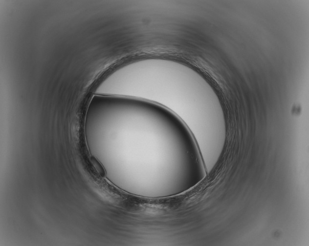 X0000095880448200801110808