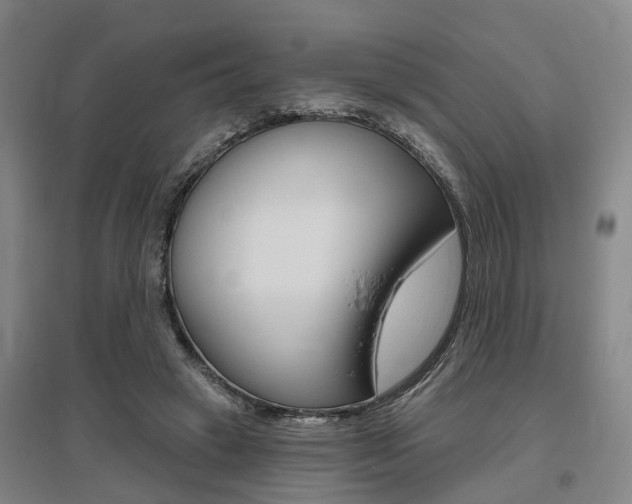 X0000095880449200801110808