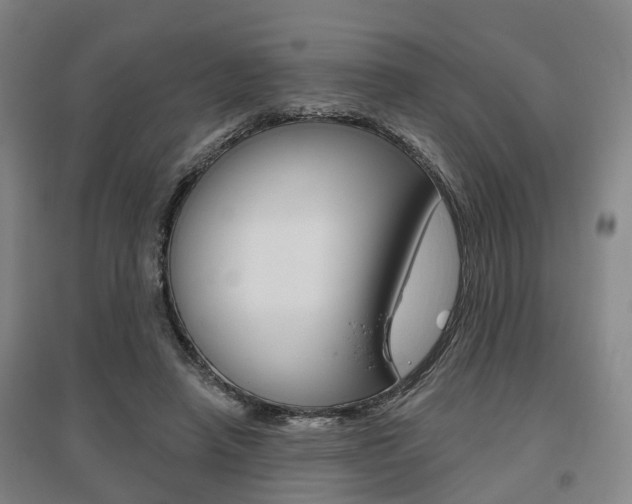 X0000095880450200801110808