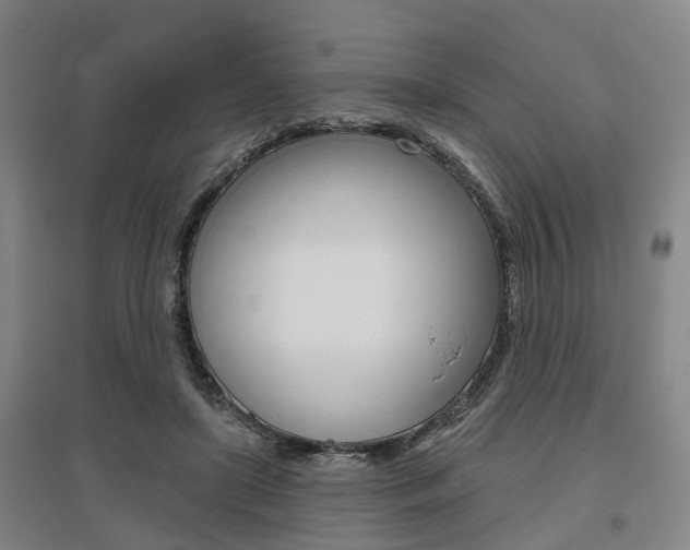 X0000095880451200801110808