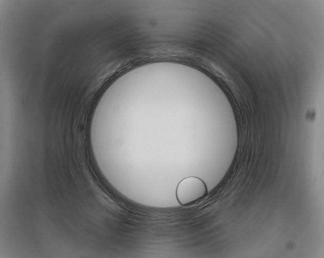 X0000095880452200801110809