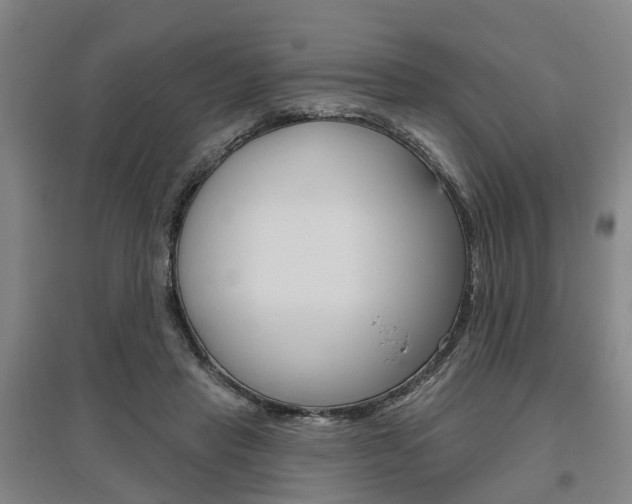 X0000095880453200801110809