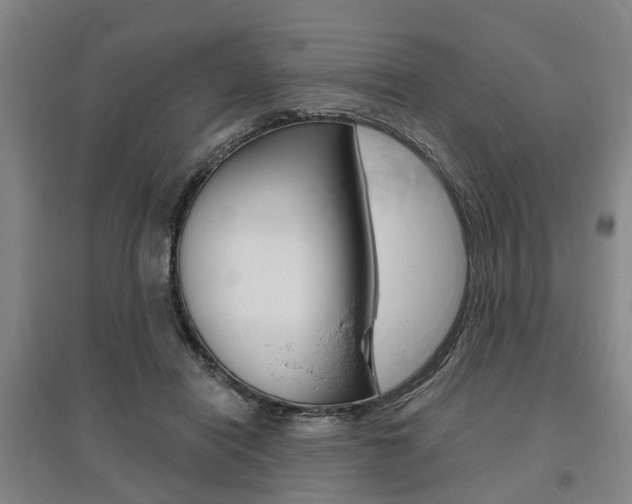 X0000095880454200801110809