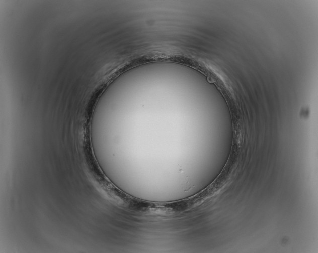 X0000095880455200801110809