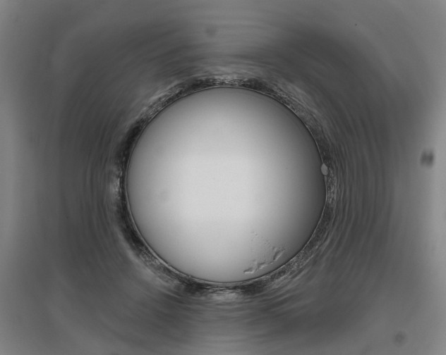 X0000095880456200801110809