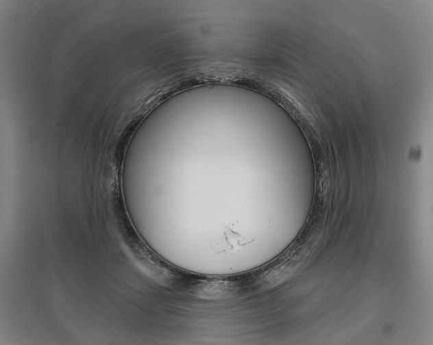 X0000095880459200801110809