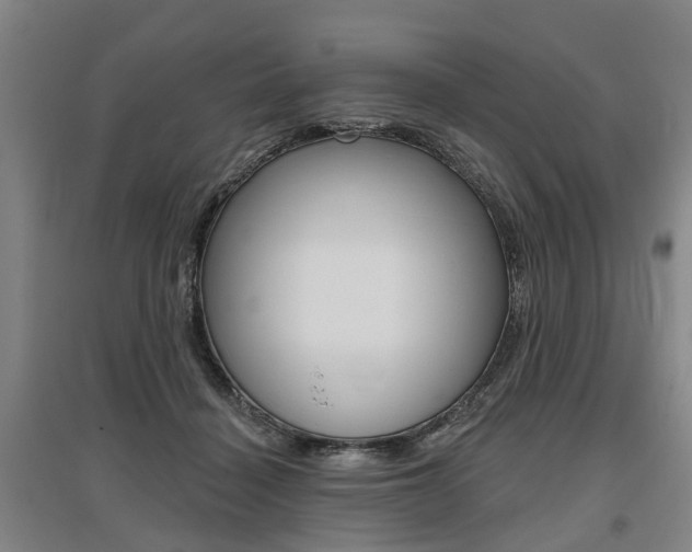X0000095880460200801110809