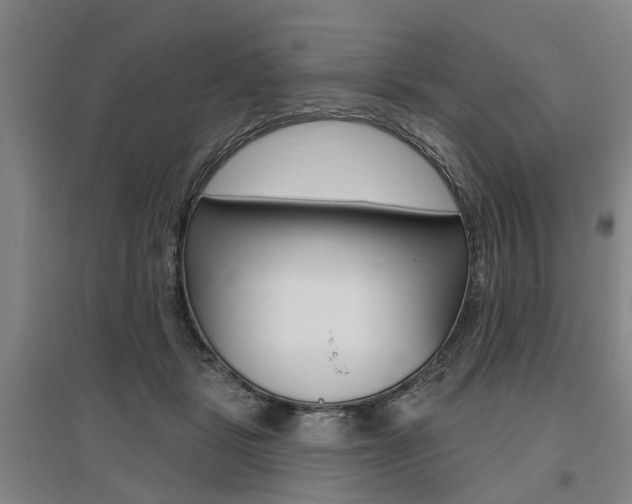 X0000095880461200801110809