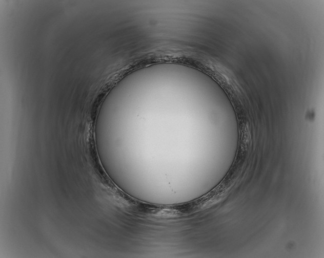 X0000095880463200801110809