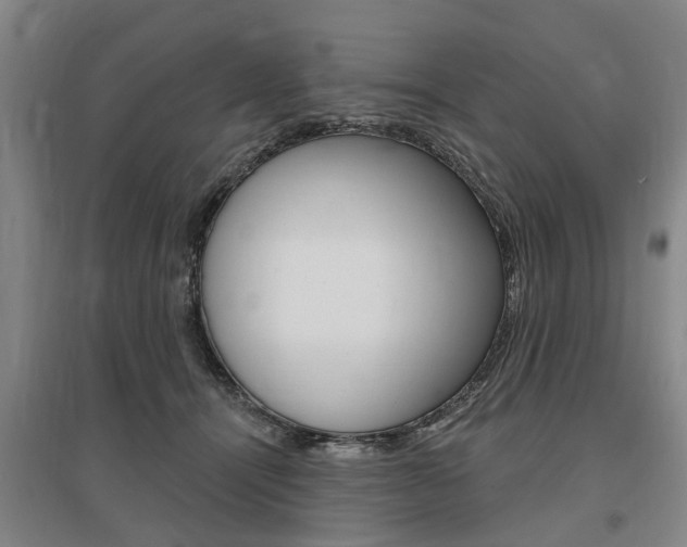 X0000095880464200801110809