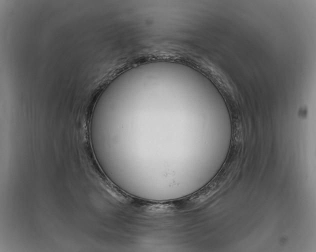 X0000095880465200801110809