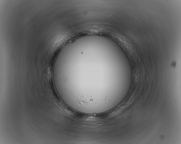X0000095880467200801110809