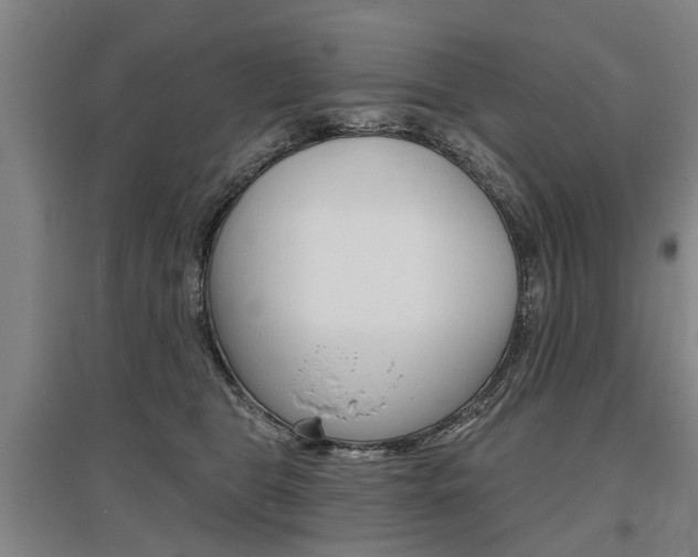 X0000095880469200801110809