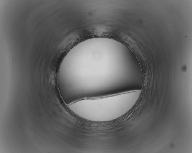 X0000095880470200801110809