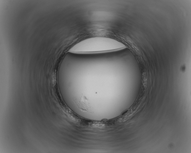 X0000095880471200801110809