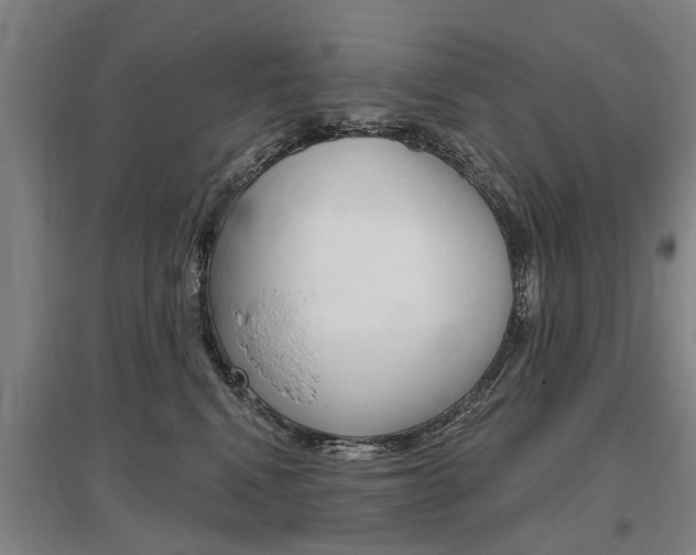 X0000095880472200801110809