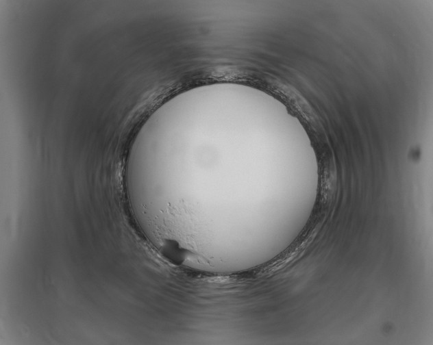 X0000095880473200801110809