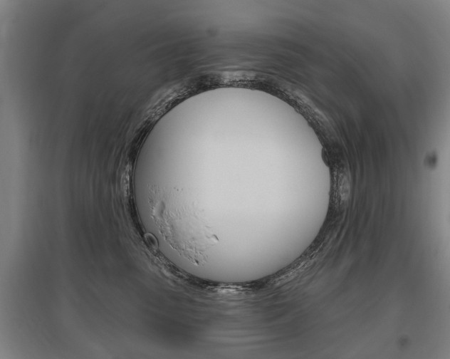 X0000095880475200801110809