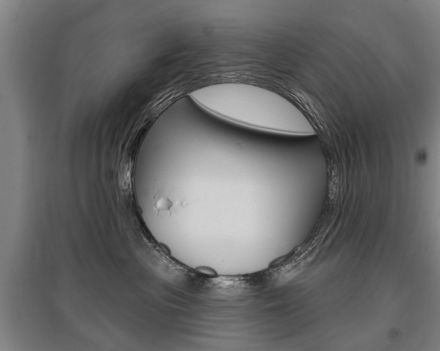 X0000095880477200801110809