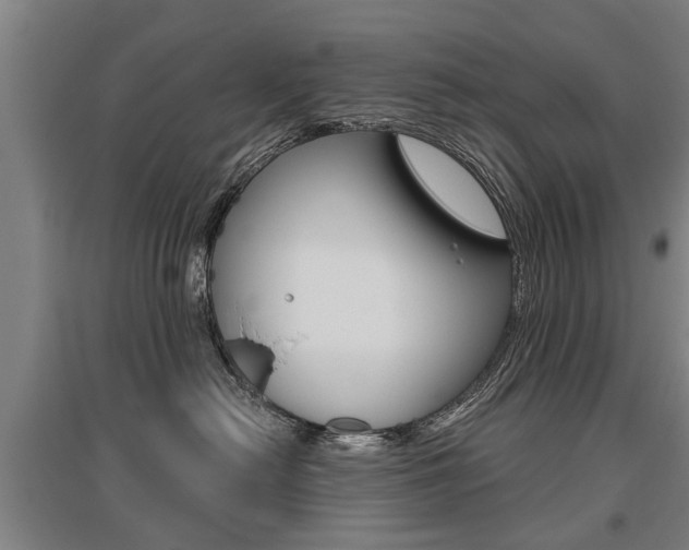 X0000095880478200801110809