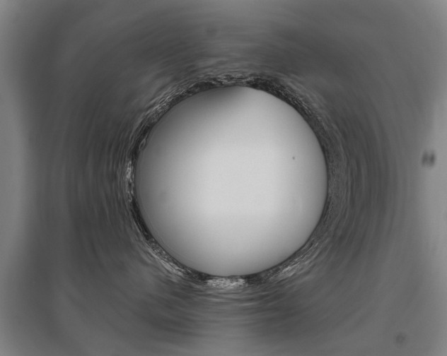 X0000095880480200801110809