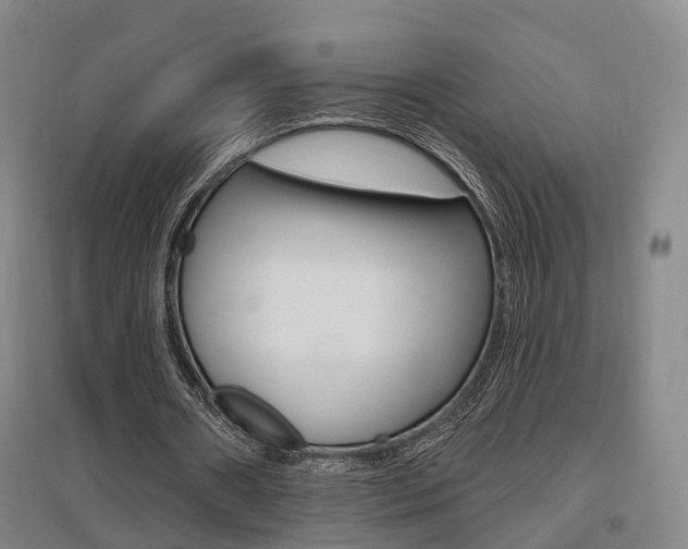 X0000095880482200801110808