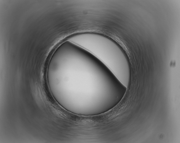 X0000095880483200801110808