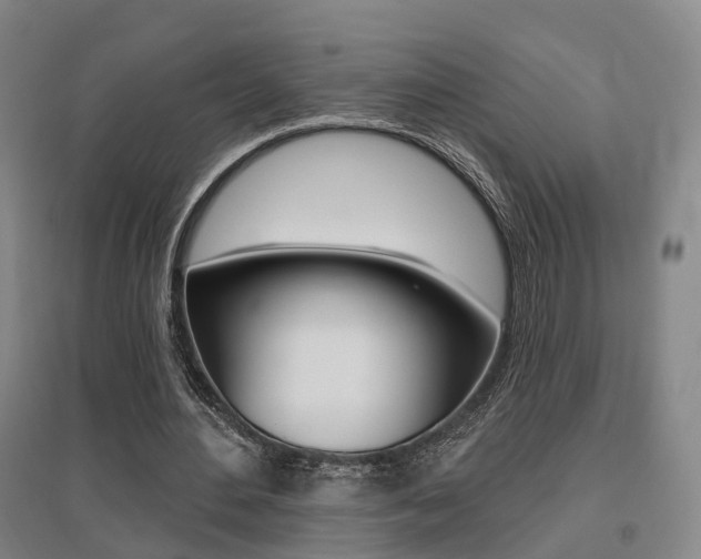 X0000095880484200801110808