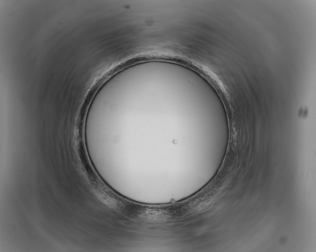 X0000095880487200801110808