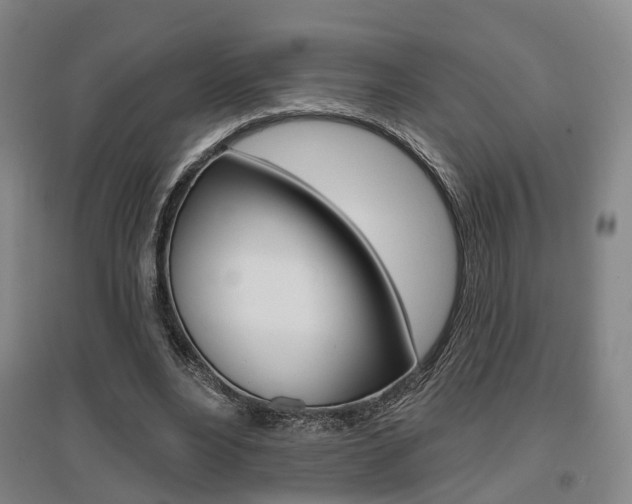 X0000095880488200801110808