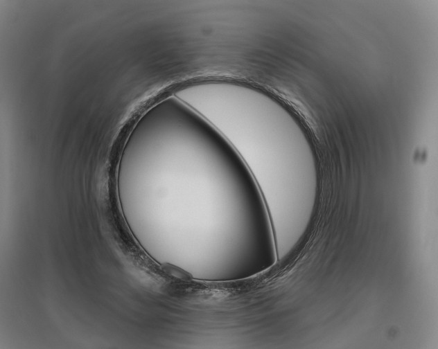 X0000095880492200801110808