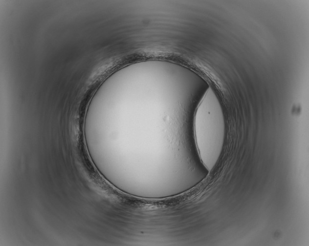 X0000095880494200801110808