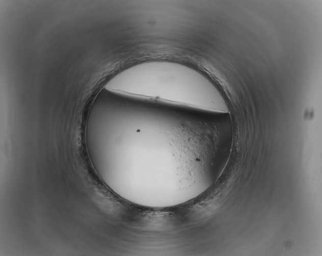 X0000095880497200801110808