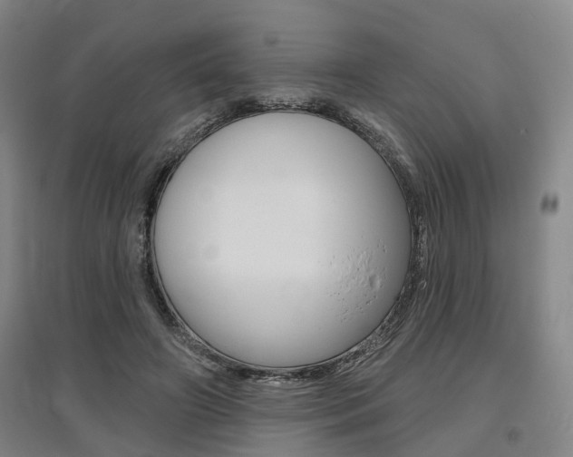 X0000095880498200801110808