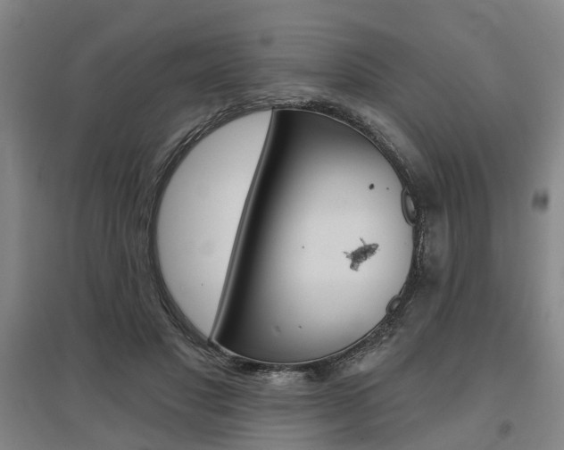 X0000095880501200801110808
