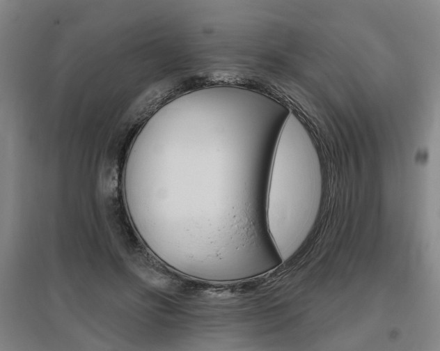 X0000095880502200801110808