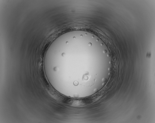 X0000095880507200801110808