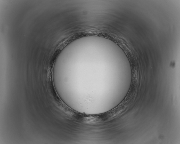 X0000095880511200801110808