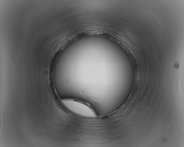 X0000095880512200801110808