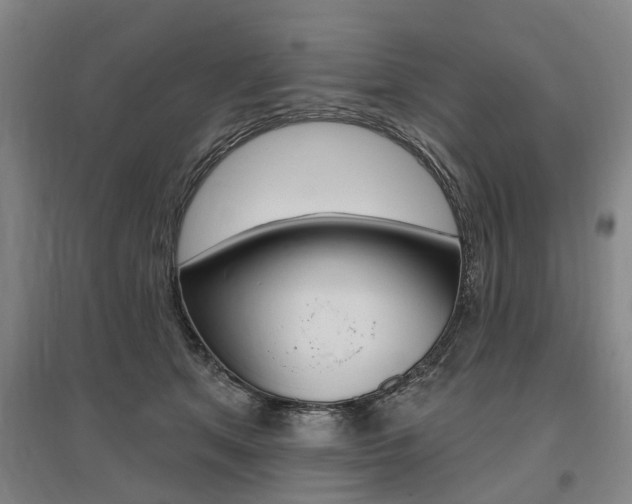 X0000095880513200801110808