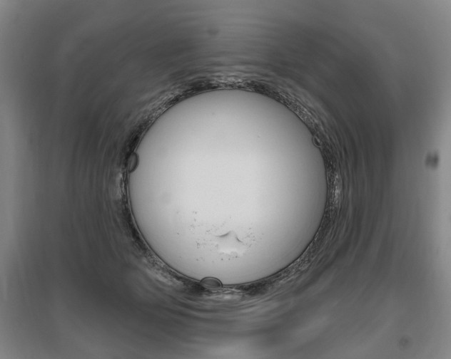 X0000095880514200801110808