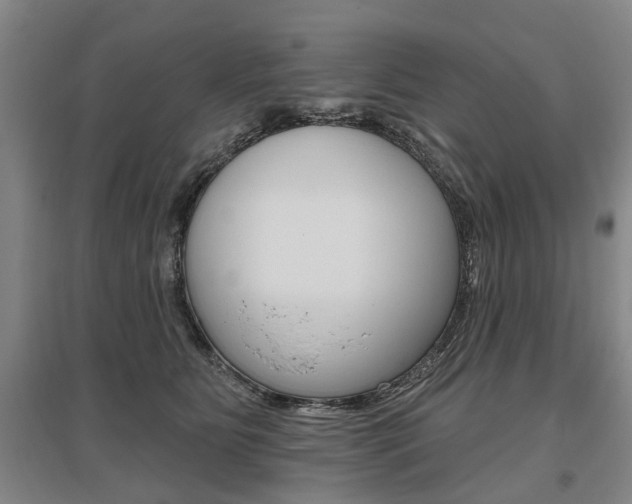 X0000095880515200801110808
