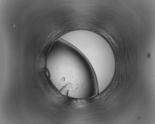 X0000095880517200801110808