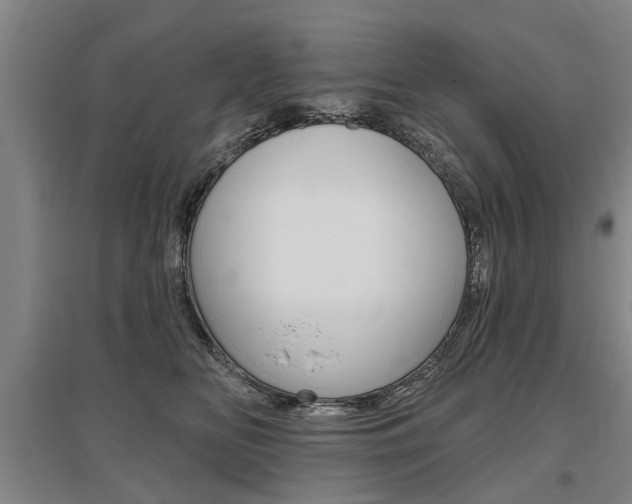 X0000095880518200801110808