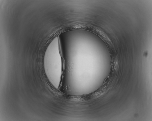 X0000095880521200801110808