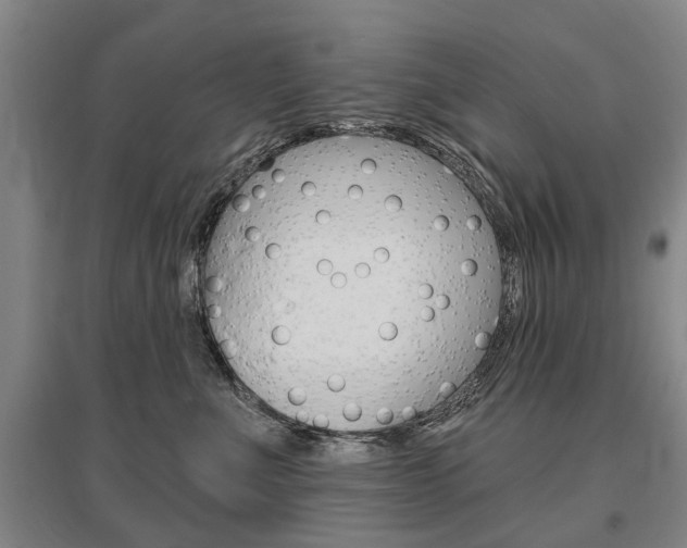 X0000095880523200801110808